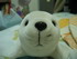 huskyjY