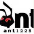 ant1228jY